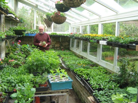 Daisy and France 083 Plant Sale May 2009