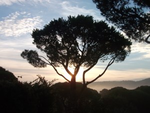 Sunrise this morning