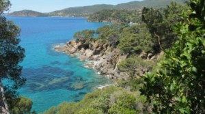 Jardin---Visites-guidees513a28ce0e20f