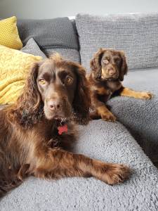 10bcebae-7862-439e-bb3e-95990ddadcb6 (1)