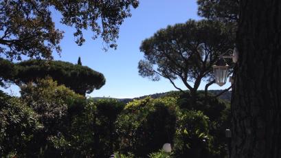 D4177D11-1B49-4792-B7DF-B33CA5C47CE9