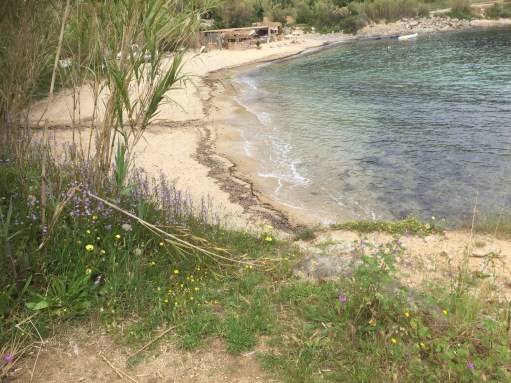 6C757383-383A-459E-B2C2-E3B39F7DC38A